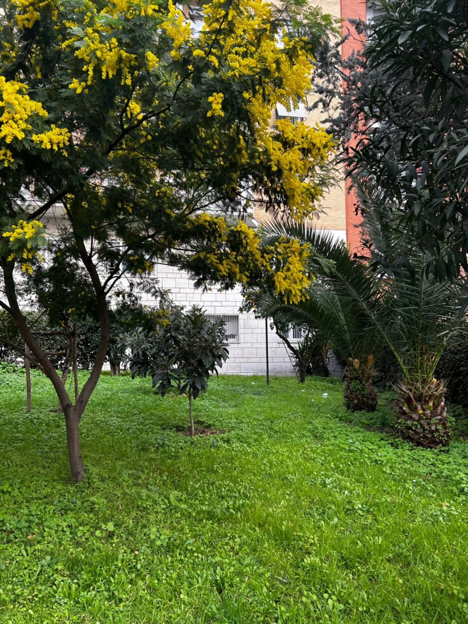 Bam Bam Tiburtina Guesthouse Roma Exterior foto